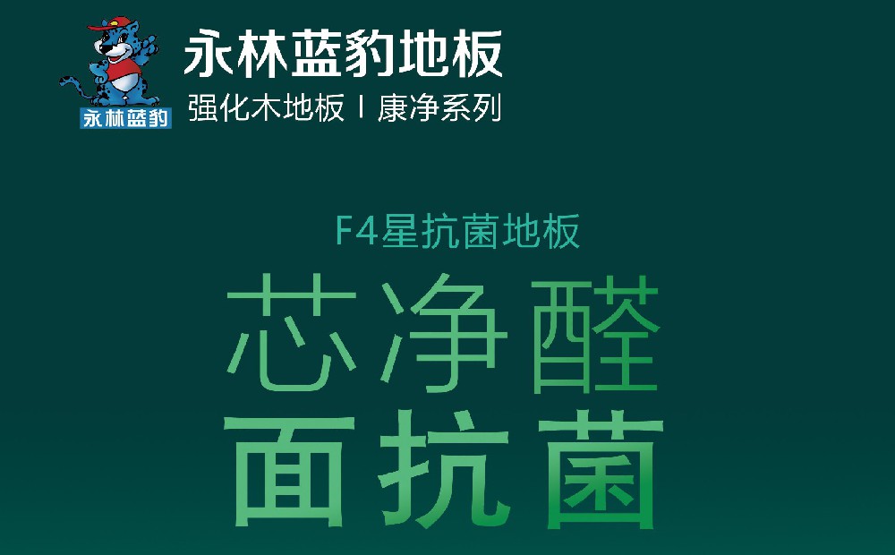 F4�ǿ����ذ塸����ϵ�С�