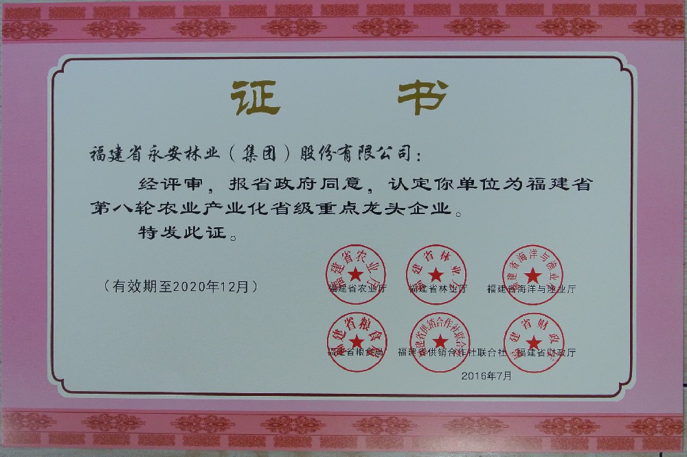 2016����������