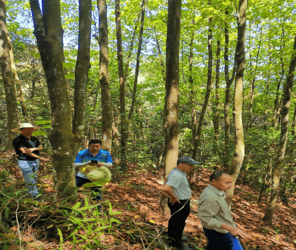 ʡ������վվ������ʤһ�е���˾���� ��Դ�ֽ�������