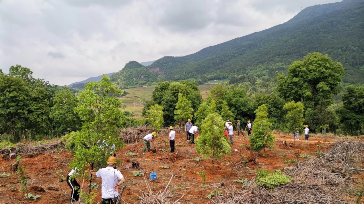 ÇòËÙÌåÓý:´ÓÈü³¡µ½ÕÆÐĵÄÿһÃë