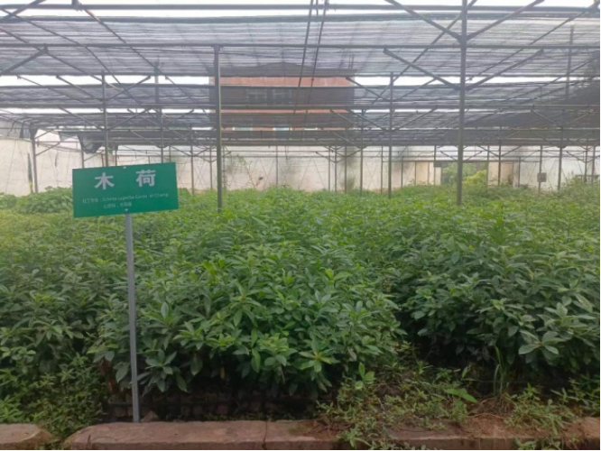 ľ�ɣ����֣�