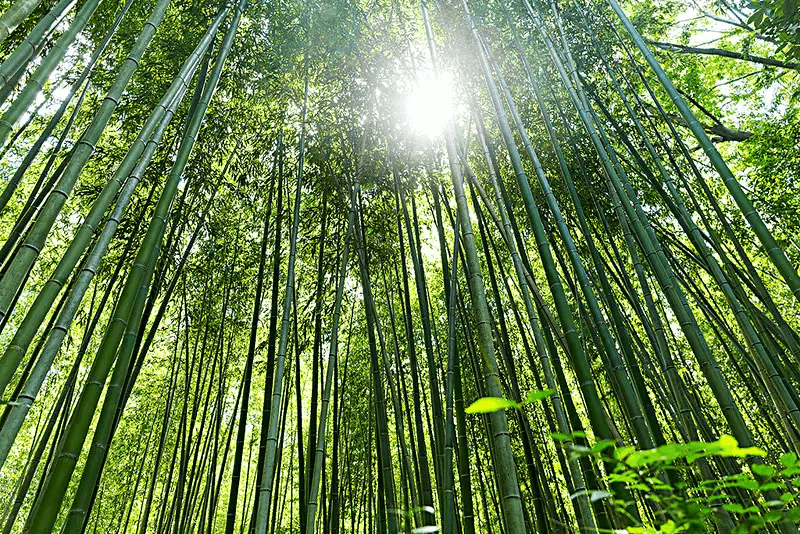 �������� �����ٳ�������ҵ����̼������ɫ������·��