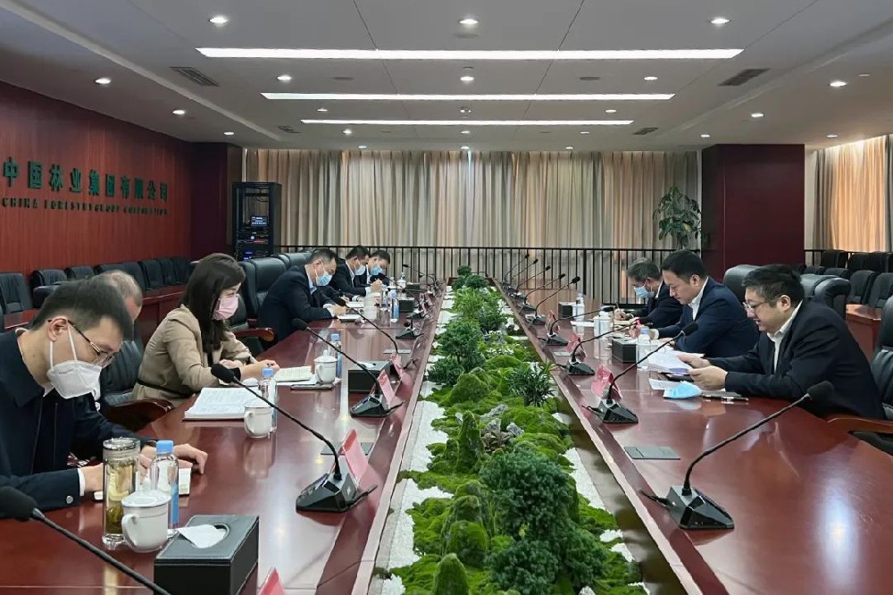 ���ּ����ٿ�ľ������������������