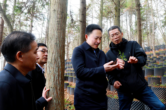 ���Ե�������̬�������޹�˾����