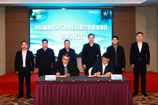 球速体育:从赛场到掌心的每一秒