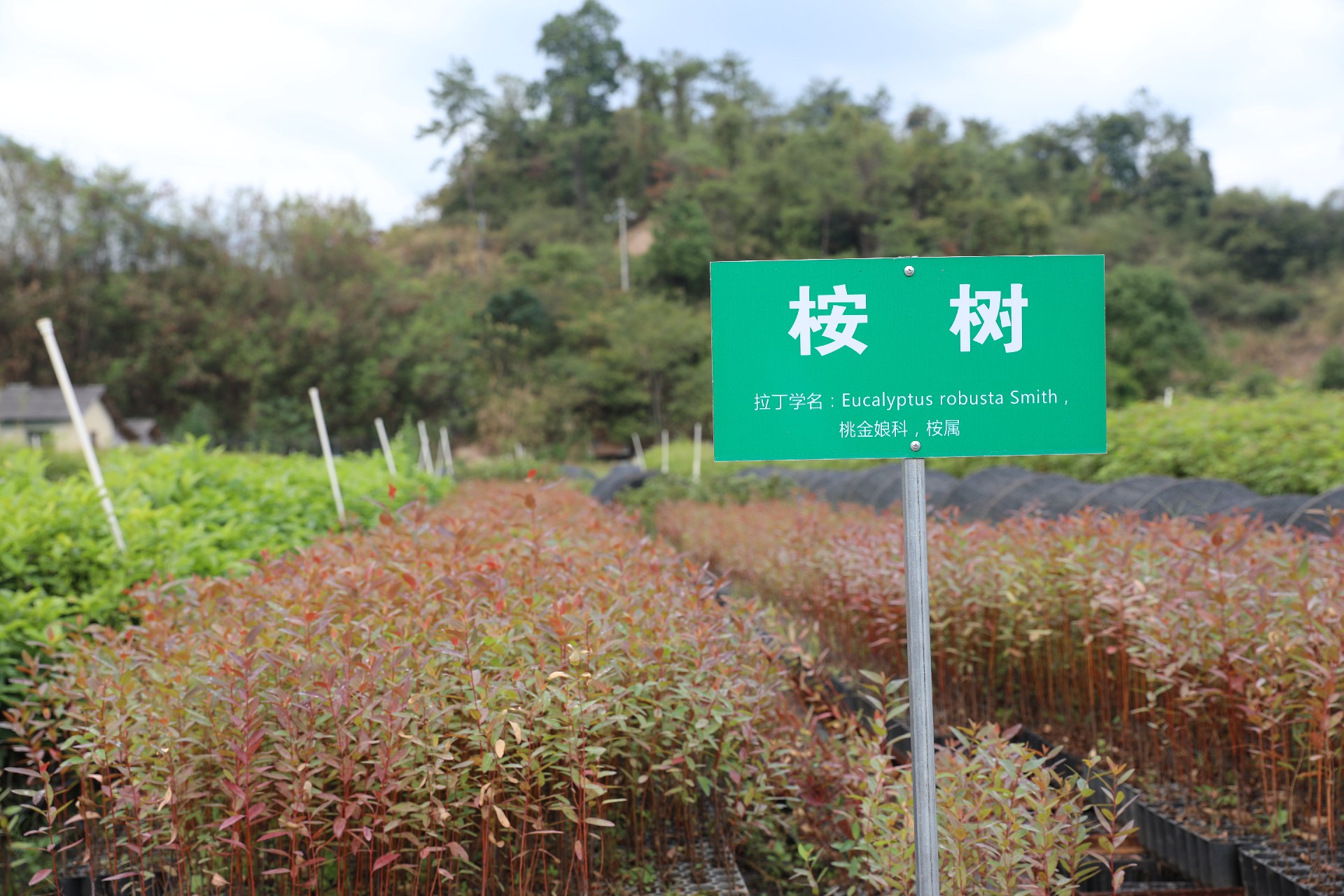 1669271853681235.png 微信图片_20221212152418.jpg