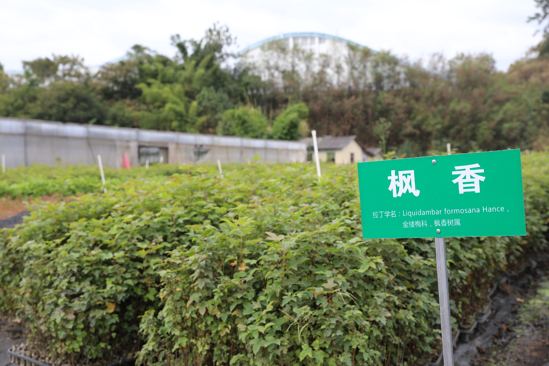 1669273235197059.png ΢ÐÅͼƬ_20221212152413.jpg