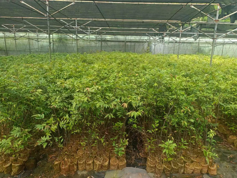 ��������:�����������ĵ�ÿһ��