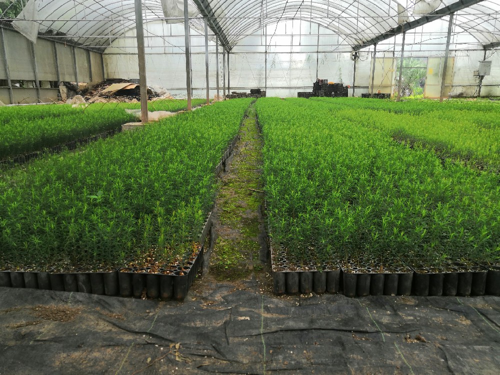 ��������:�����������ĵ�ÿһ��