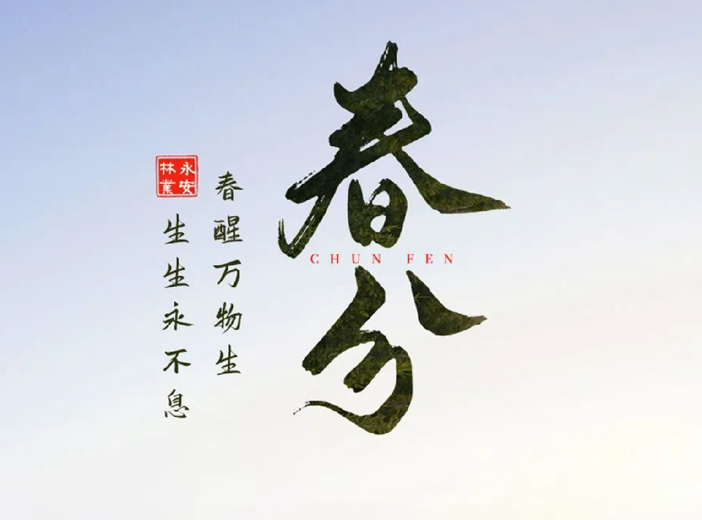 ���ա�����