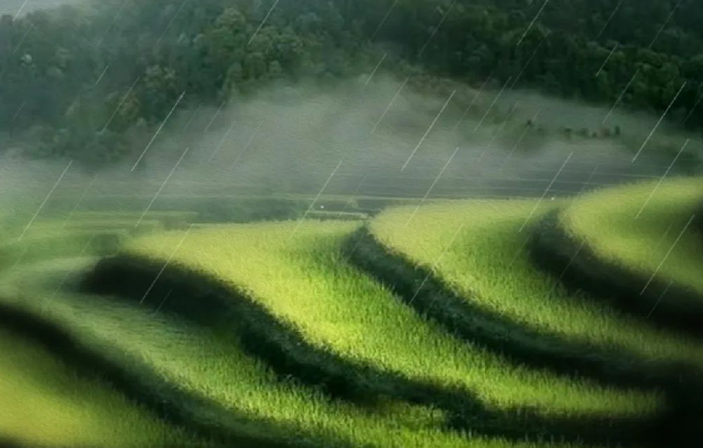 ���ա�����