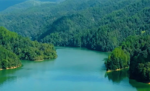 ���µ����գ������������������򣬣���������ֹ����