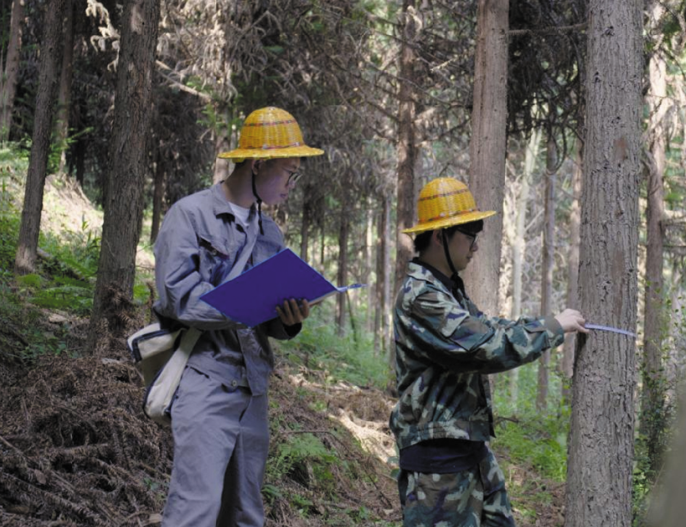 ����һ�������Ͷ��� | �������¾���