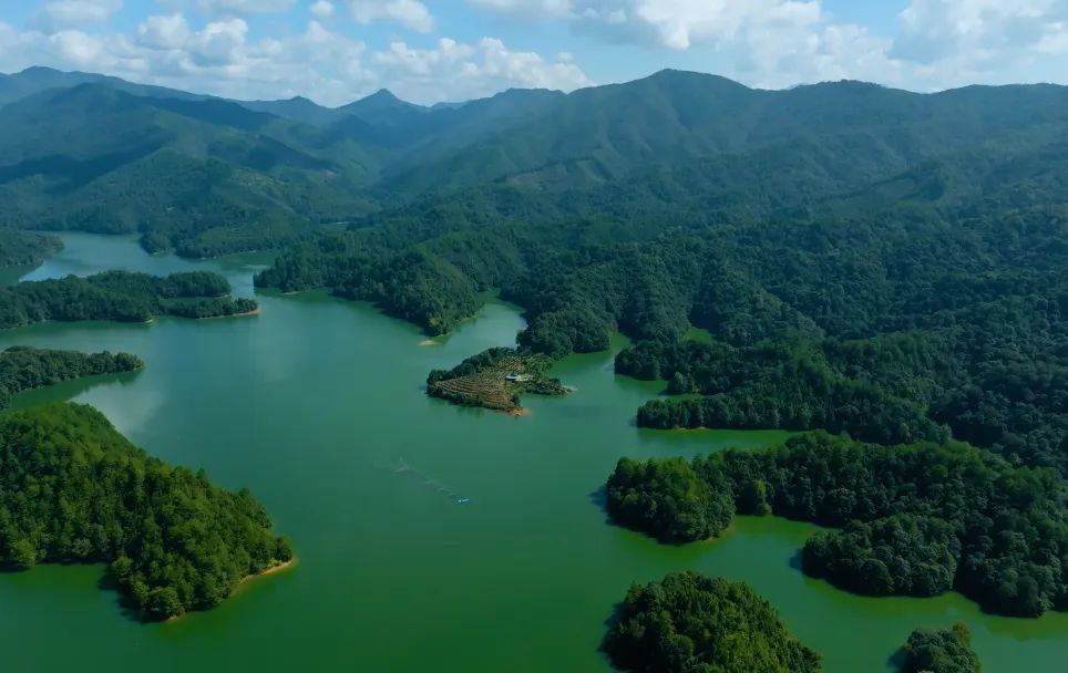 ��������:�����������ĵ�ÿһ����ҵ�����׷����Ρ�����������ESG������