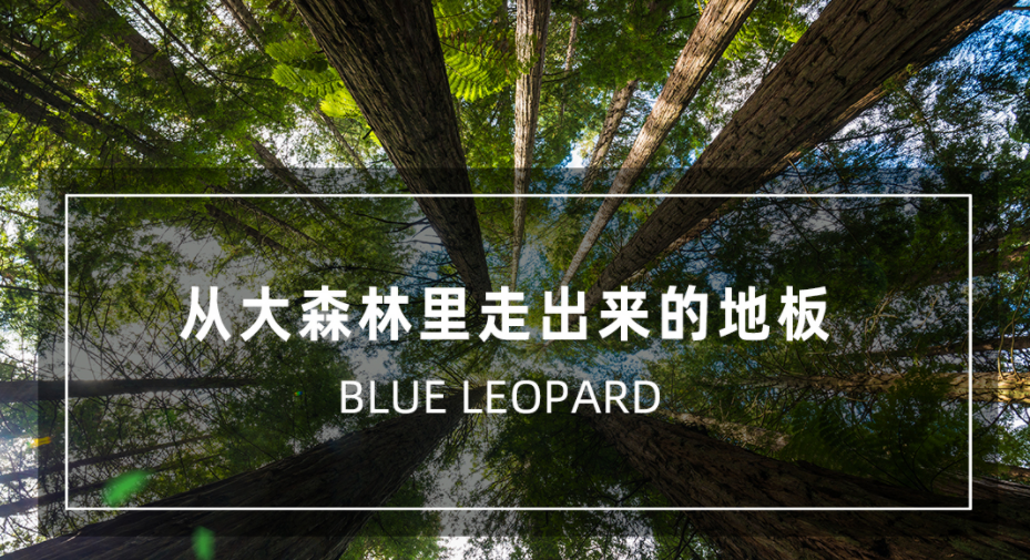 ��������:�����������ĵ�ÿһ��