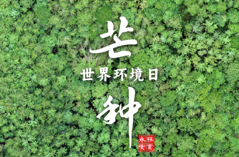 ���ա�â�֡�����������