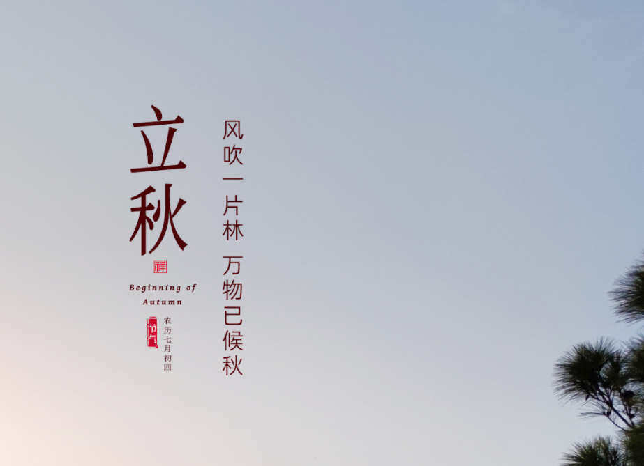 ���� �� ��ɽ����� ����������