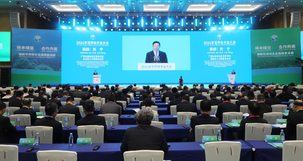 ���ּ���Я�����ľ��Ʒ����2024��������ľҵ���