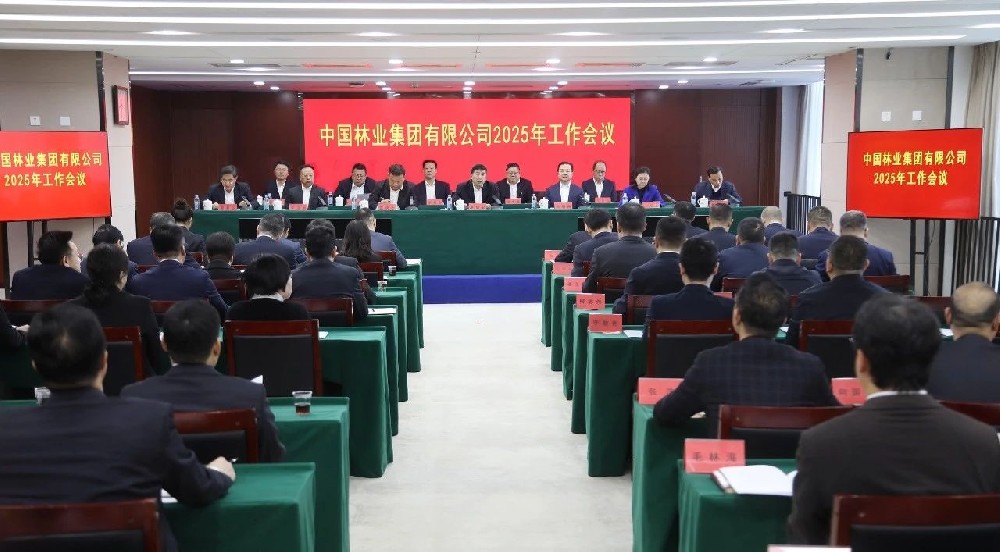 2025�꣺���ֵ�ͷ �ƶ�ǰ�С��������Ҹ��������ƶ����ּ���ʵ�ֳ�������