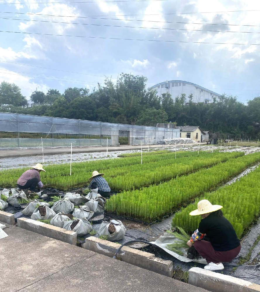 ����һ�ؼ�����ͷ����Ͷ���