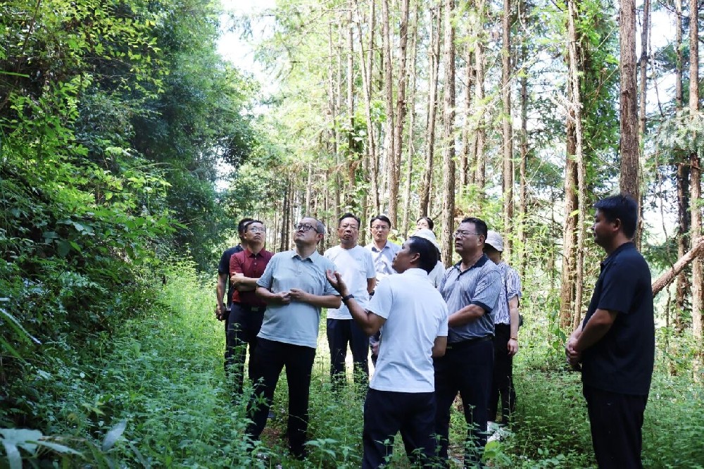 �й���ҵ�����ⲿ���¸��㶫��������չ��ҵ��ҵ����������ר�����