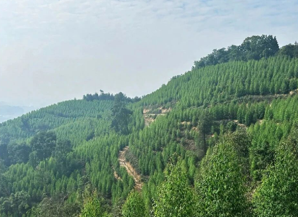 �Զ���֮��������������������д��������