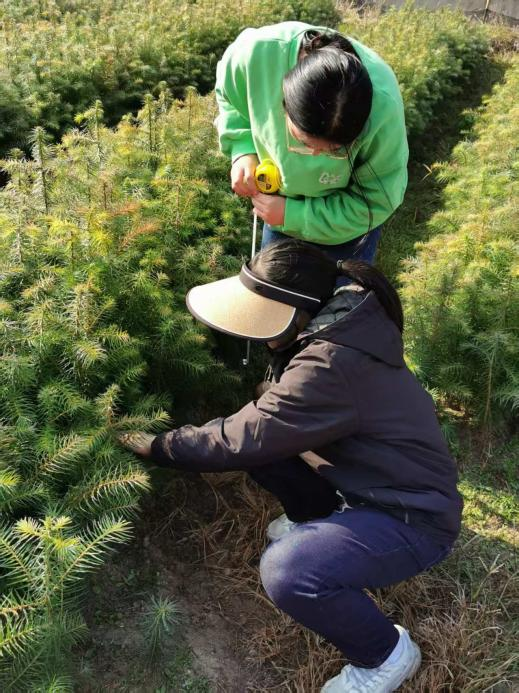 ������ҵ��̬����������:�����������ĵ�ÿһ����ҵ��������˳��ͨ�����롢ʡ��������ľ���ֽ�����Ŀ����