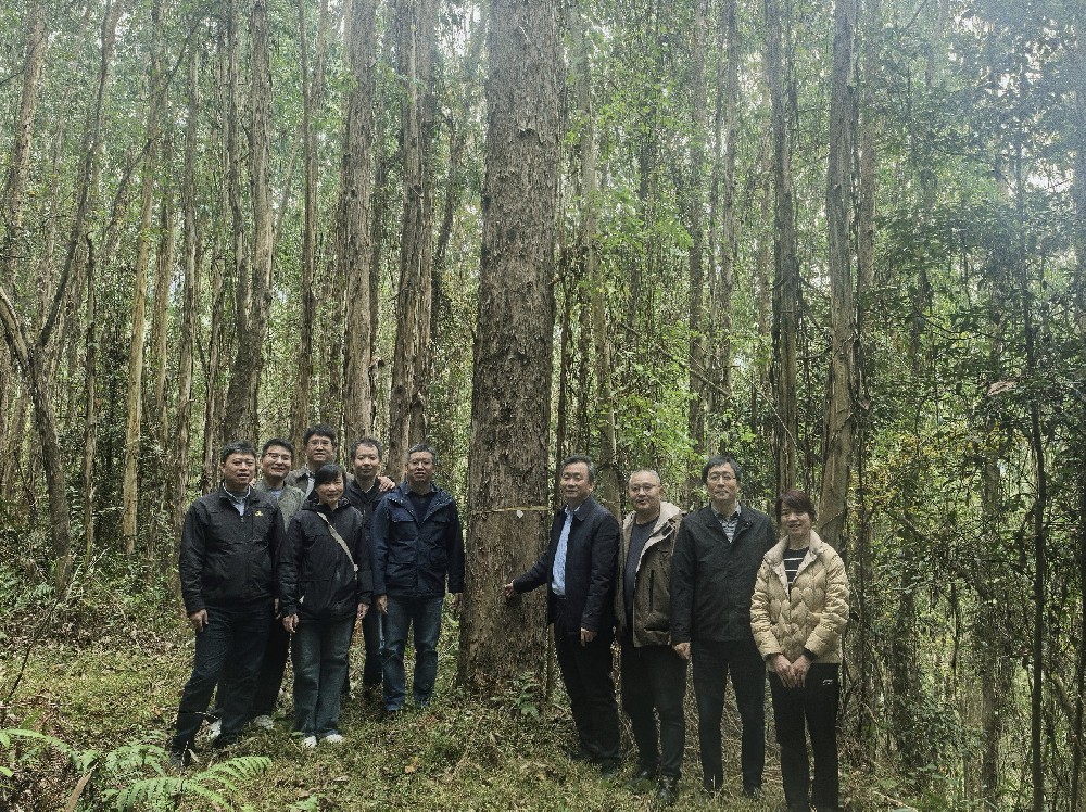 �й���ҵ��ѧ�о�Ժ������ľ�о��� �����׵���һ�е���������:�����������ĵ�ÿһ����ҵ����